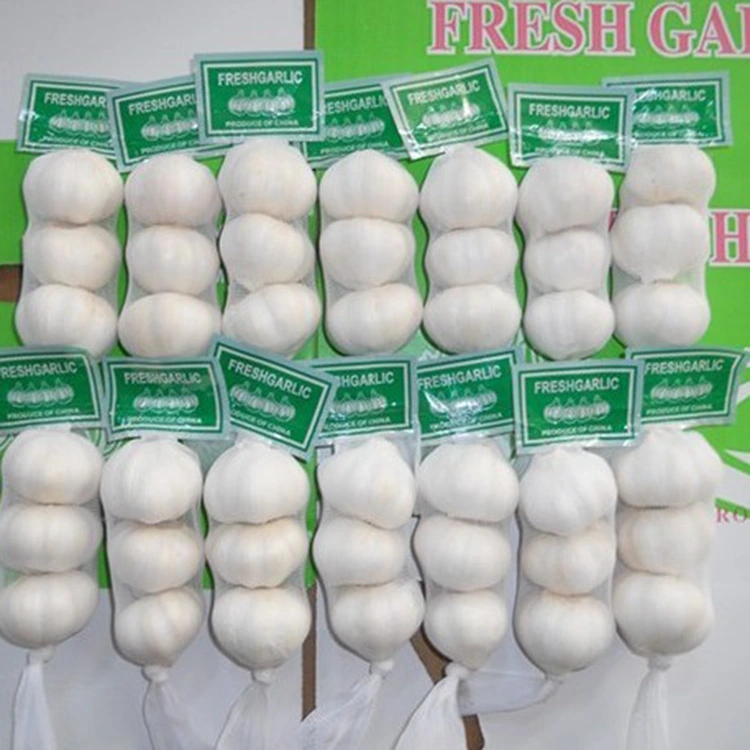 Napa Bawang Putih Segar Premium dadi Pilihan sing Dipilih kanggo Pembeli sing Sadar Kualitas?
