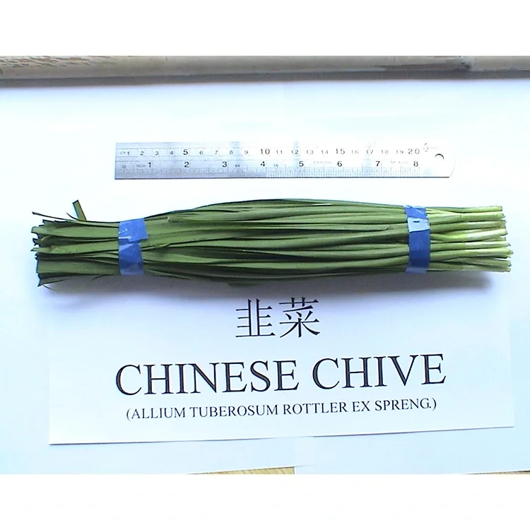 Napa Chives Cina Segar Digunakake ing Masakan Asia?