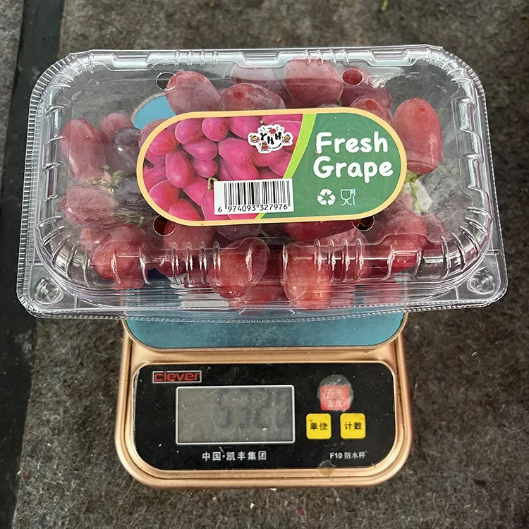 Ekspor Grapes Layung Seger Tanpa Biji