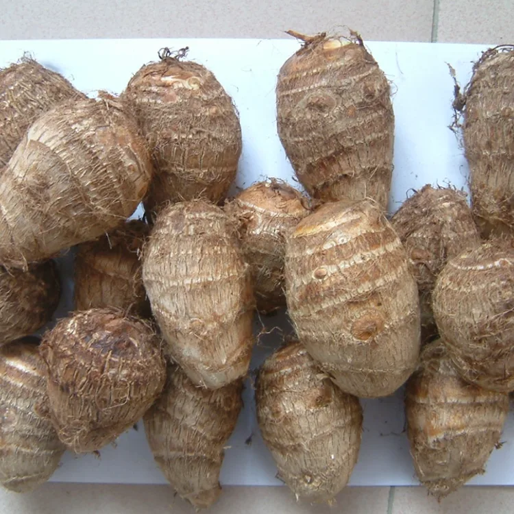Taro seger lapangan