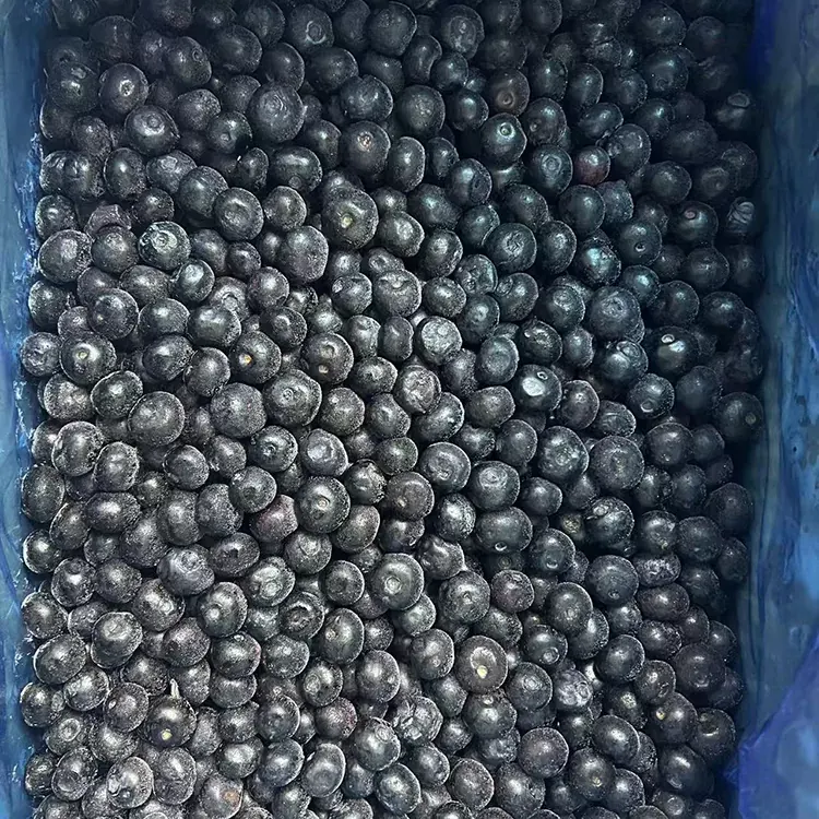 Beku Blueberry Premium IQF Blueberries