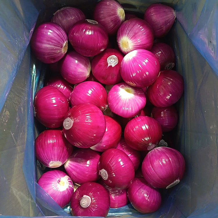 Bawang Kupas Kualitas Tinggi
