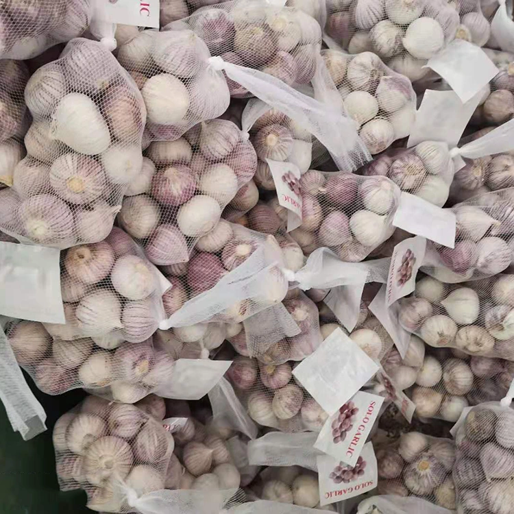 Bawang Putih Cengkeh Tunggal Kualitas Tinggi