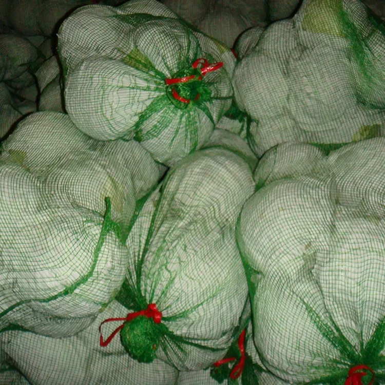 Crisp Fresh Cabbage