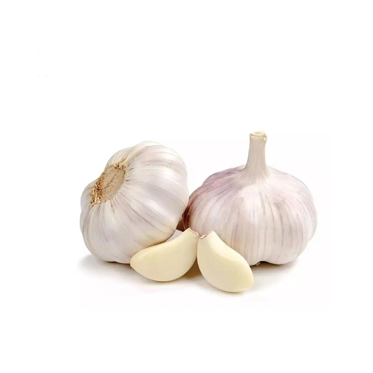 Bawang Putih Normal Teguh lan Montok Premium